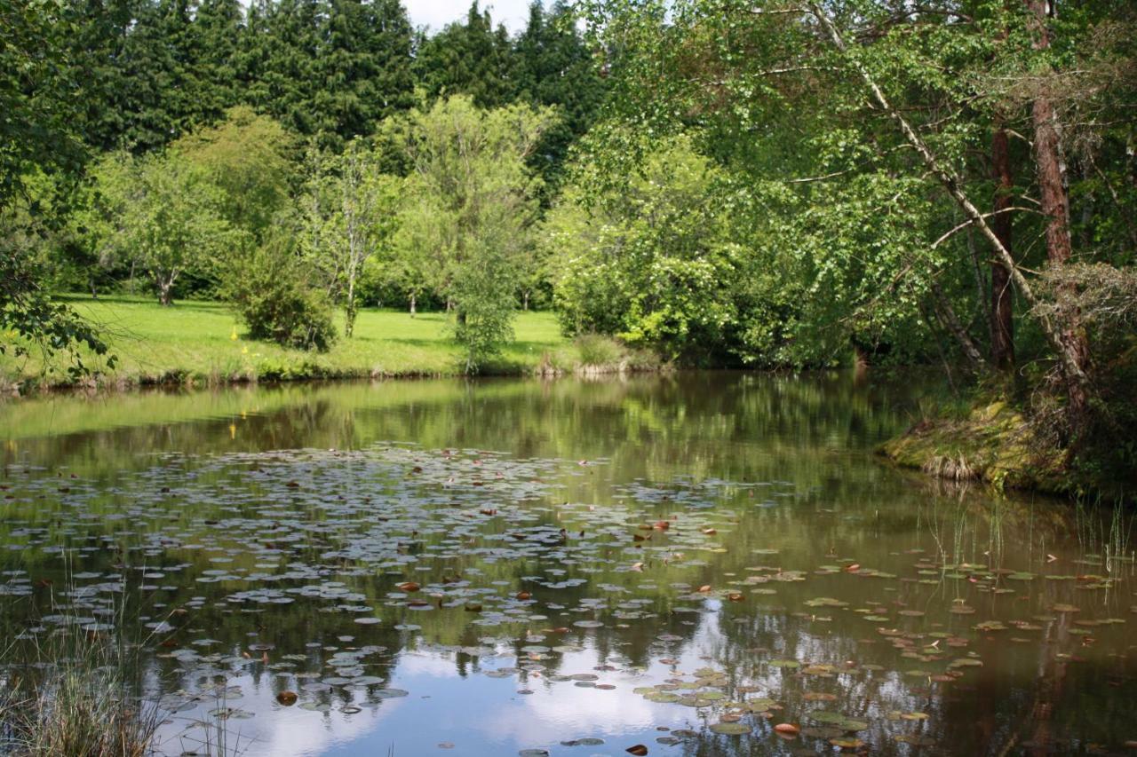 Spruce Lake Sauviat-sur-Vige Extérieur photo