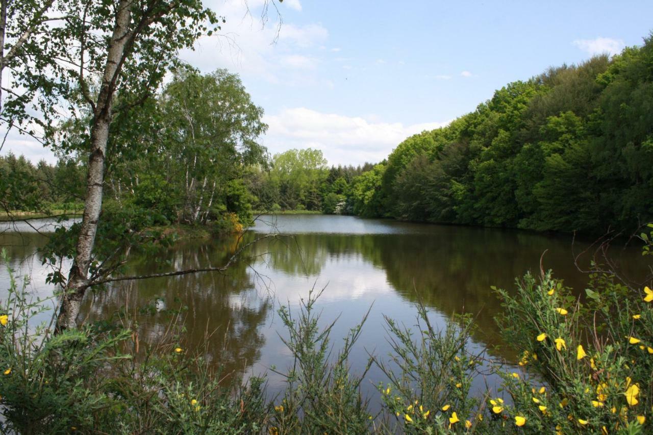 Spruce Lake Sauviat-sur-Vige Extérieur photo